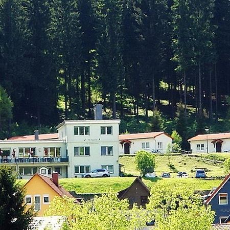 Pension Am Waldesrand Ilmenau Bagian luar foto